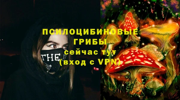 тгк Абдулино