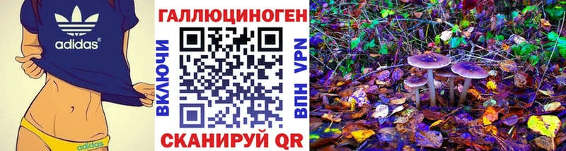 Псилоцибиновые грибы GOLDEN TEACHER Белый